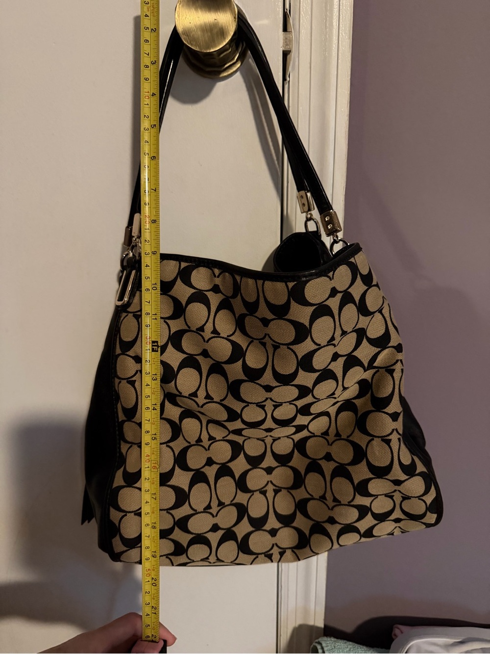 Canvas Logo-Print Shoulder Bag in Beige and Black